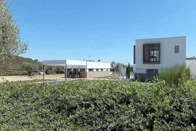 Bodegas Mas de Rander
