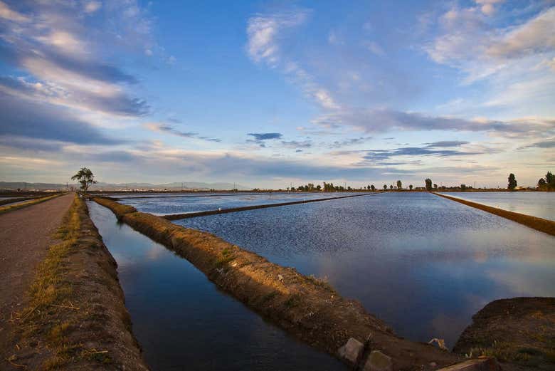 Parc naturel du delta de l'Èbre