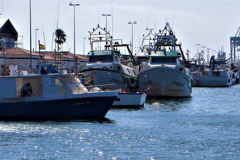 Grau de Castelló port