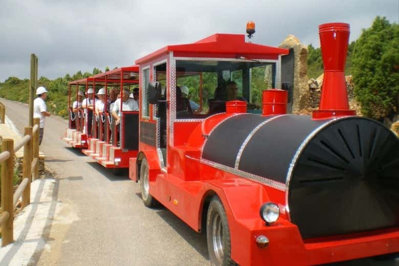 A bordo del tren minero