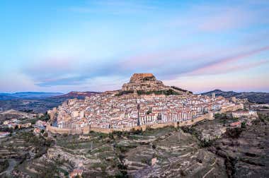 Morella