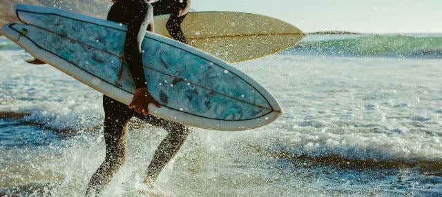 Curso de surf en Fuerteventura