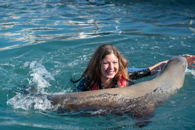 Baño con leones marinos en Caleta de Fuste