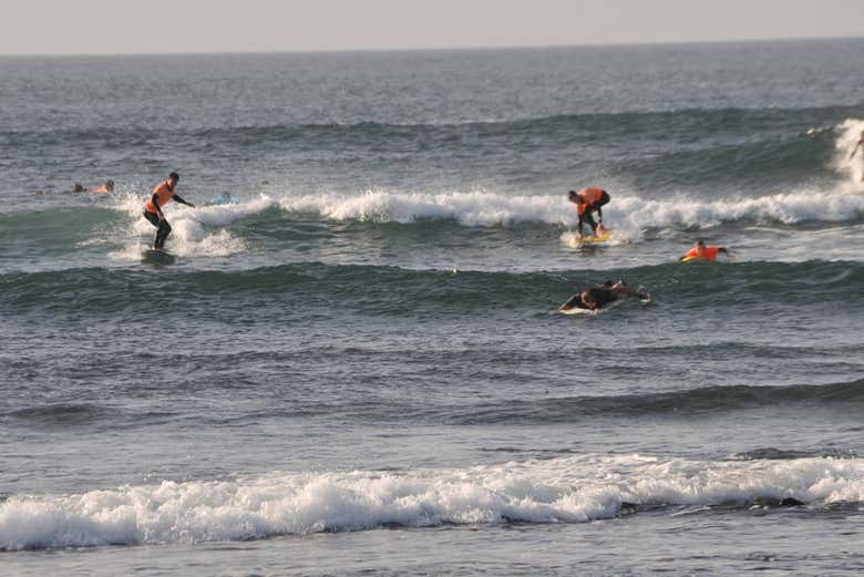 Curso de surf en Fuerteventura