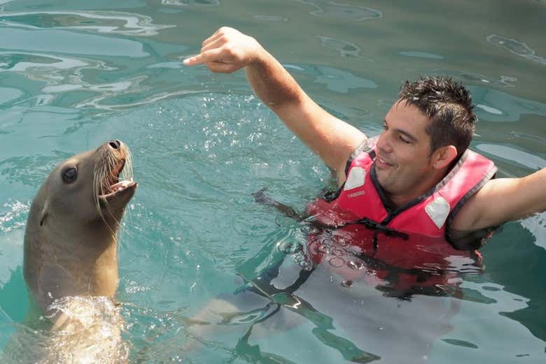 Disfrutando de la experiencia