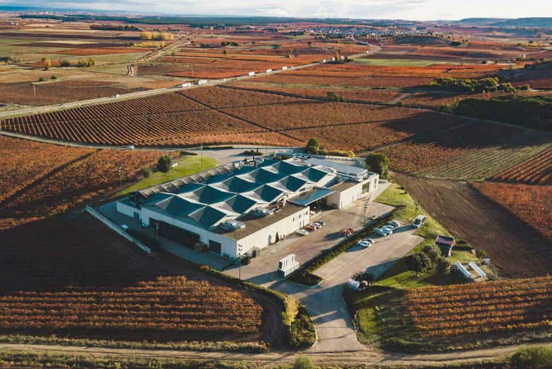 Bodegas Cepa 21, en Castrillo de Duero