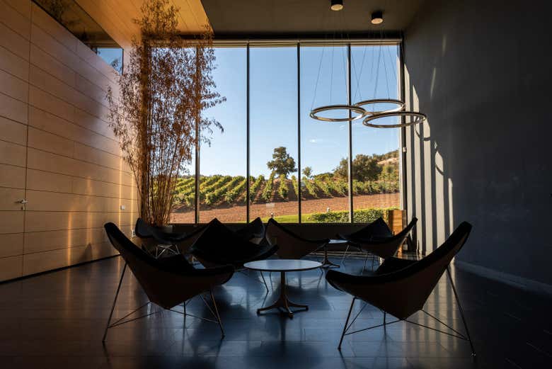 Una de las salas de las bodegas con vistas a los viñedos