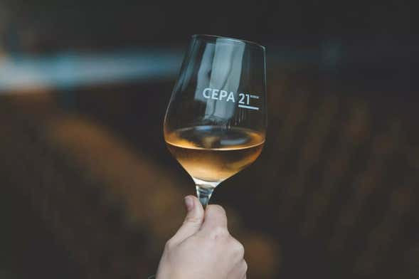 Visita a las bodegas Cepa 21