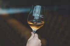Visita a las bodegas Cepa 21