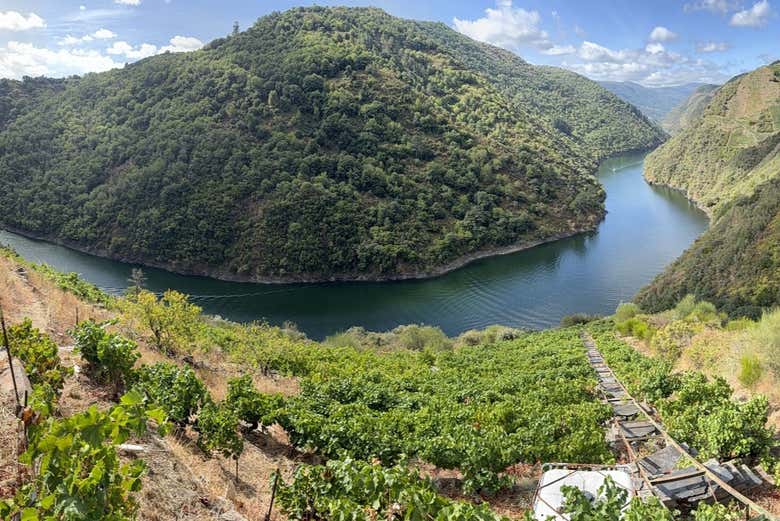 Aprenderéis todo sobre la viticultura de la Ribeira Sacra