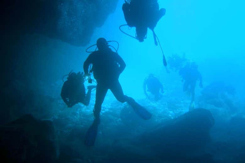 Vous vivrez une expérience sous-marine inoubliable