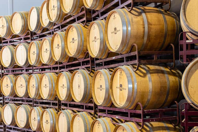 Discover how wine is made in this winery