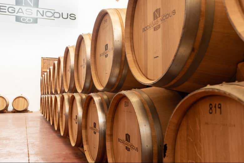 Interior de las bodegas Nodus