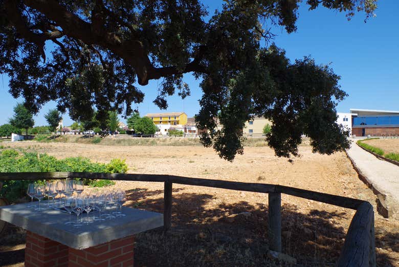 Enjoy the views of the surrounding landscapes