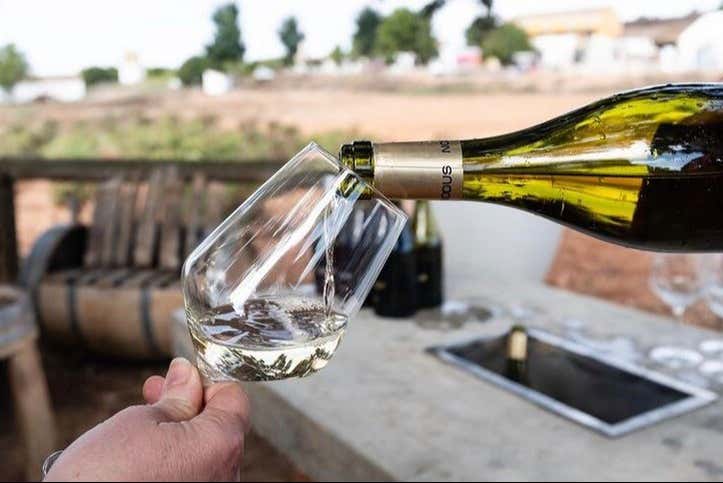 Let us pour you a glass of wine!