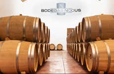 Visita a las Bodegas Nodus