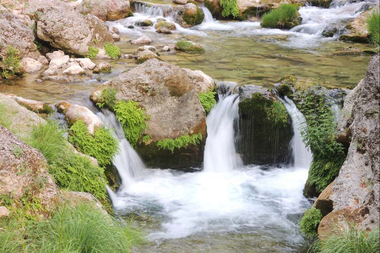 Río Borosa