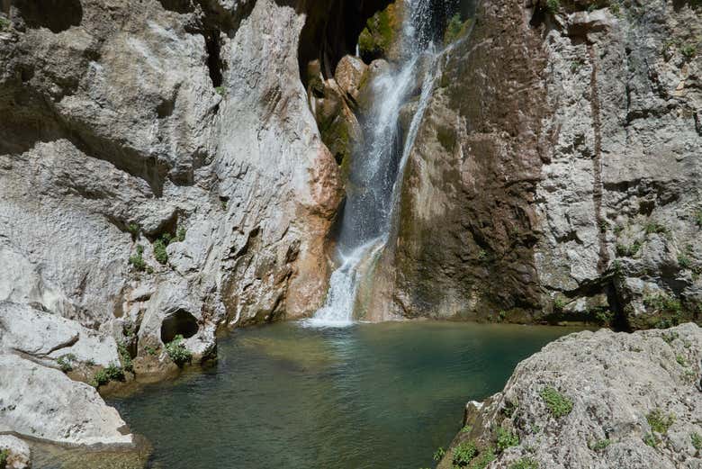 El Salto de los Órganos