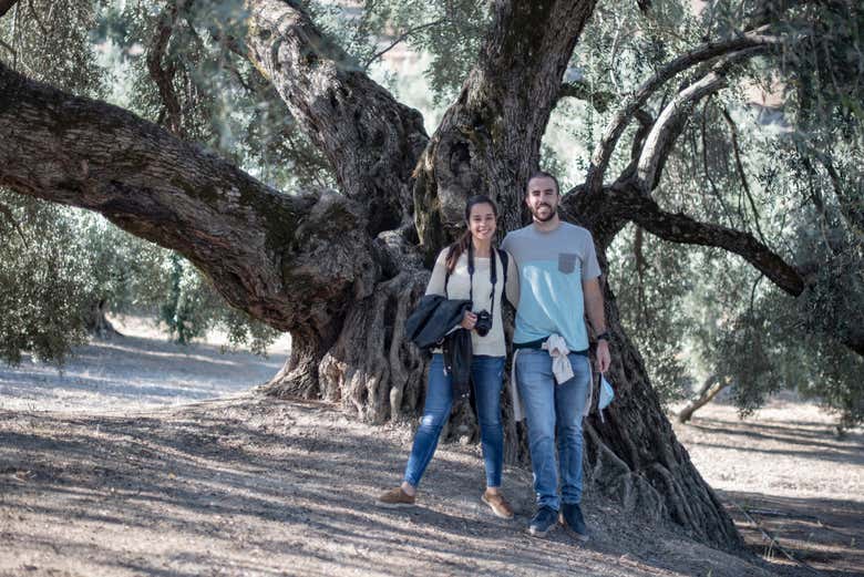 Una pareja entre los olivares