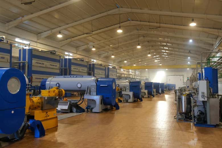 Descubre cómo se elabora el mejor AOVE