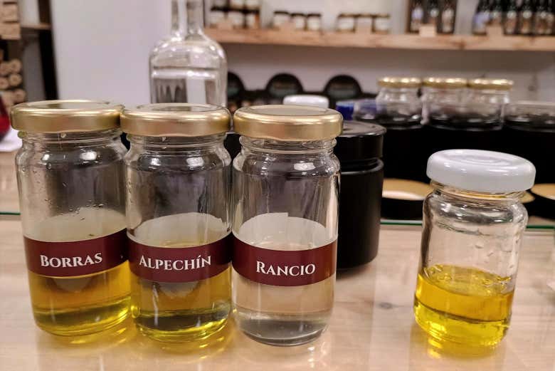 Aprende a reconocer aceites defectuosos