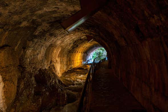 Visita guiada por Cazorla + Cata de aceite