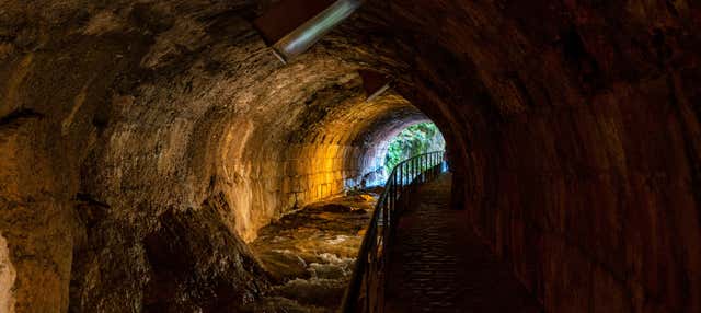 Visita guiada por Cazorla + Cata de aceite