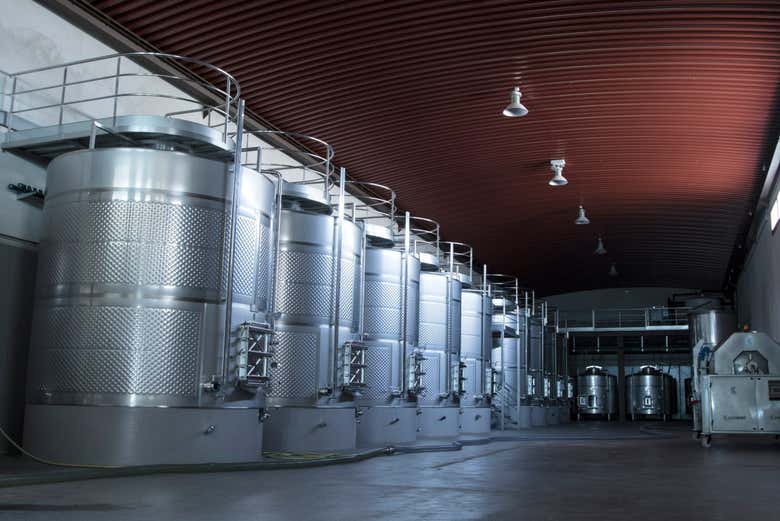 Descubriremos cómo se elaboran y envejecen los vinos