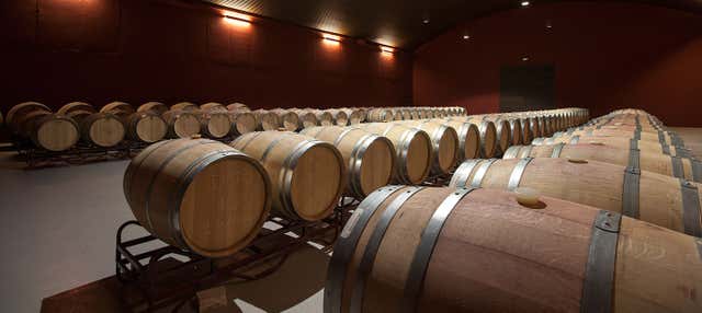 Visita a las bodegas Tierras de Cebreros