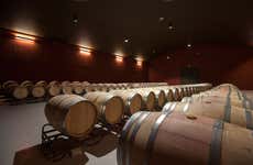 Visita a las bodegas Tierras de Cebreros