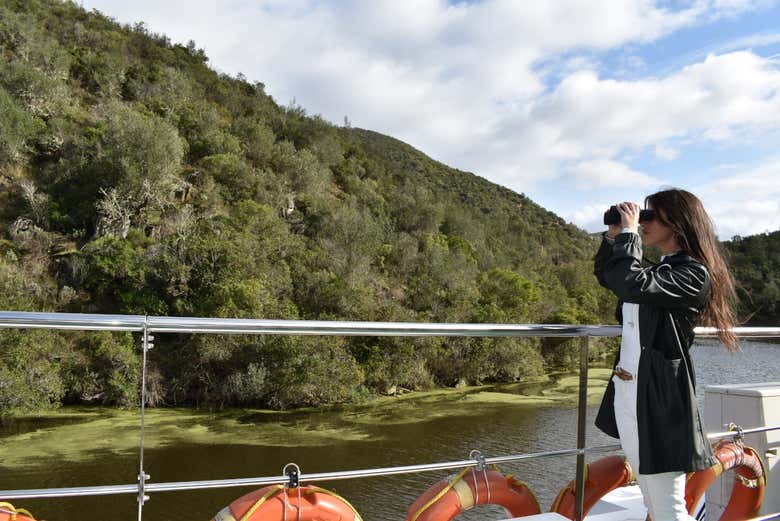 Birdwatching from the boat