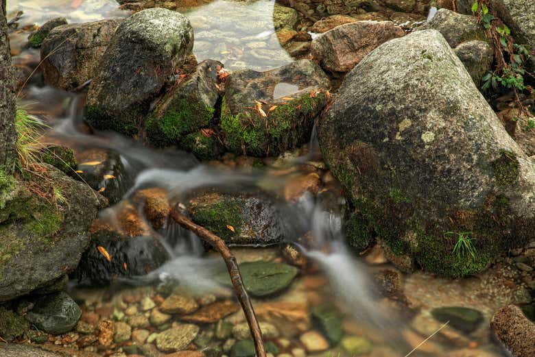 Arroyos de Fuenfría