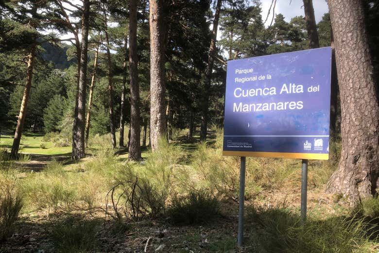 Disfrutando de la ruta de trekking por Cercedilla