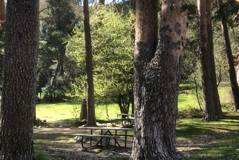 Zona de descanso del valle de la Fuenfría