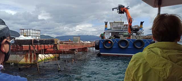 Paseo en barco por la ría de Vigo