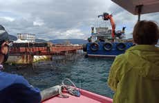 Vigo Estuary Boat Trip