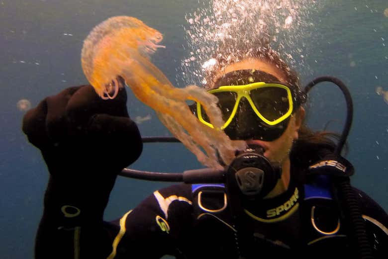 El traje de neopreno os protegerá de las picaduras
