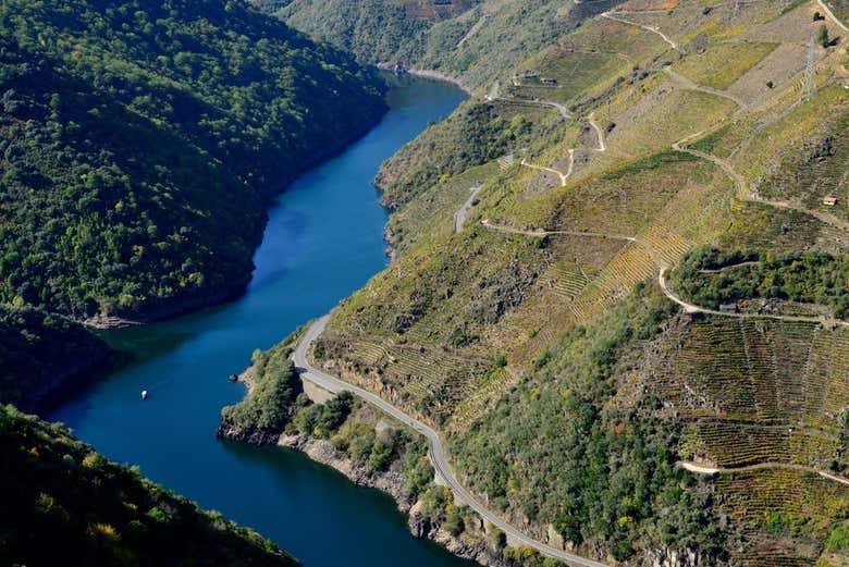 Contemplad el meandro serpenteante de la Ribeira Sacra