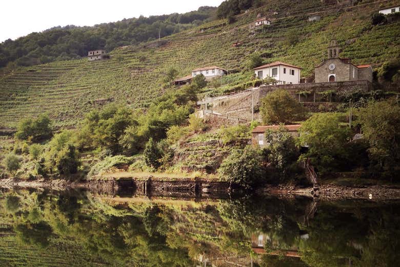 Admirad los bancales de viñedos reflejados en el agua