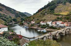 Paseo en catamarán por los cañones del Miño