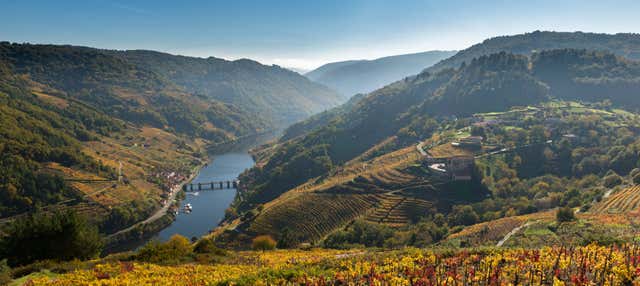 Visita a la bodega Vía Romana