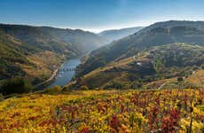 Visita a la bodega Vía Romana