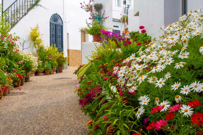 Recorriendo las calles de Conil de la Frontera