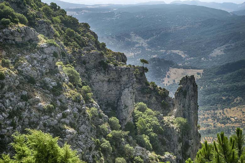 Parque Natural de Grezalema