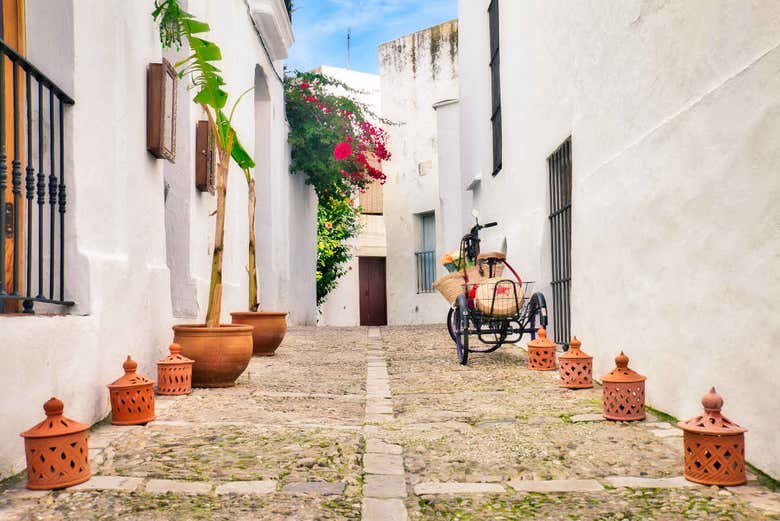 Vejer & Conil de la Frontera Tour in Sancti Petri