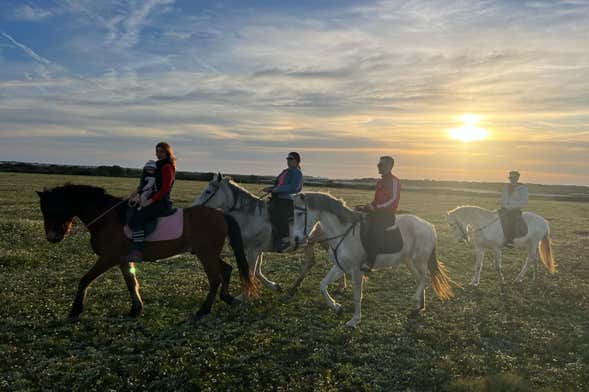 Passeggiata a cavallo fra le paludi del Coto de la Isleta