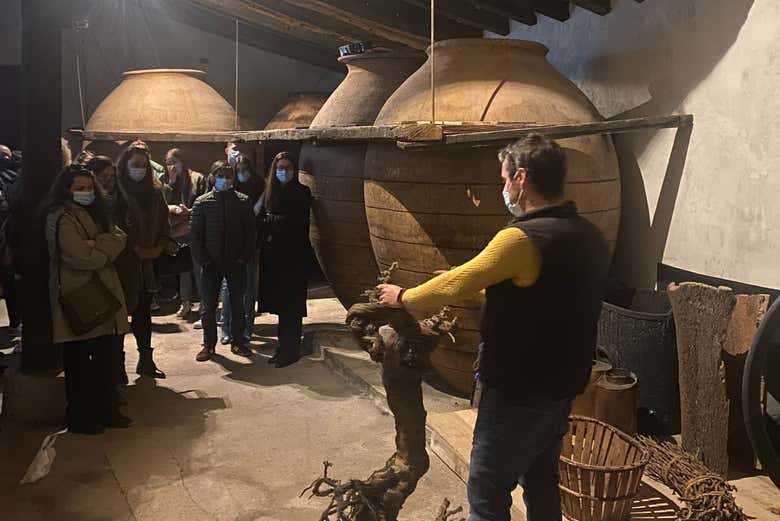 Visitando la cantina