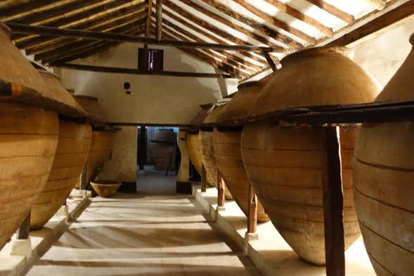 Visita a la Bodega del Nero