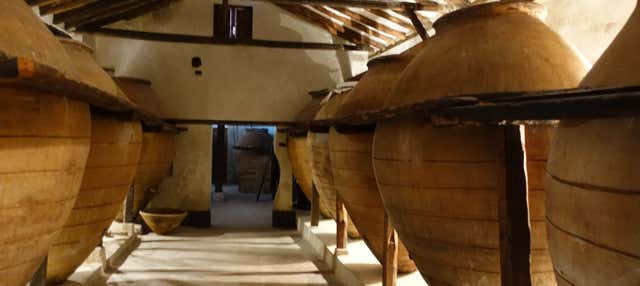 Visita a la Bodega del Nero
