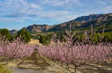 Tour del melocotón de Cieza